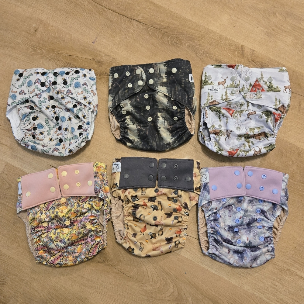 Assorted Brands XL Sized Pocket Cloth Diaper Lot (6 Total)